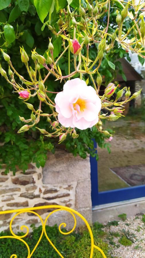 Ker Anahid - L'Atelier Bed & Breakfast Pleslin-Trigavou Ngoại thất bức ảnh